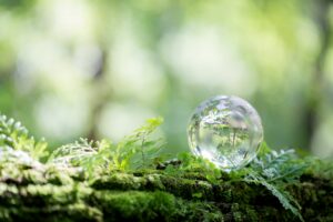 Notr état mental et émotionnel impacte l'extérieur